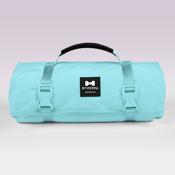 Active Park Blanket