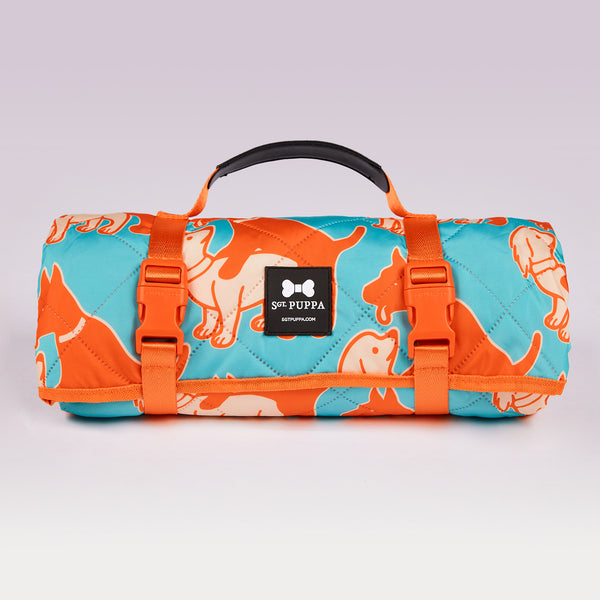 Active Park Blanket