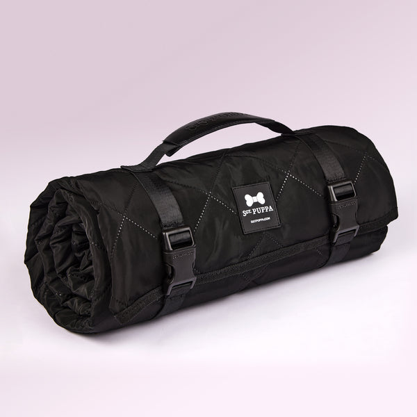Active Park Blanket