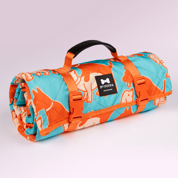Active Park Blanket