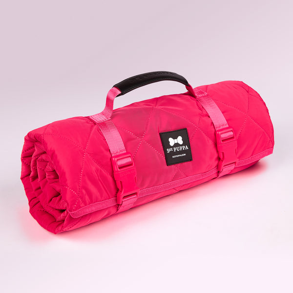 Active Park Blanket