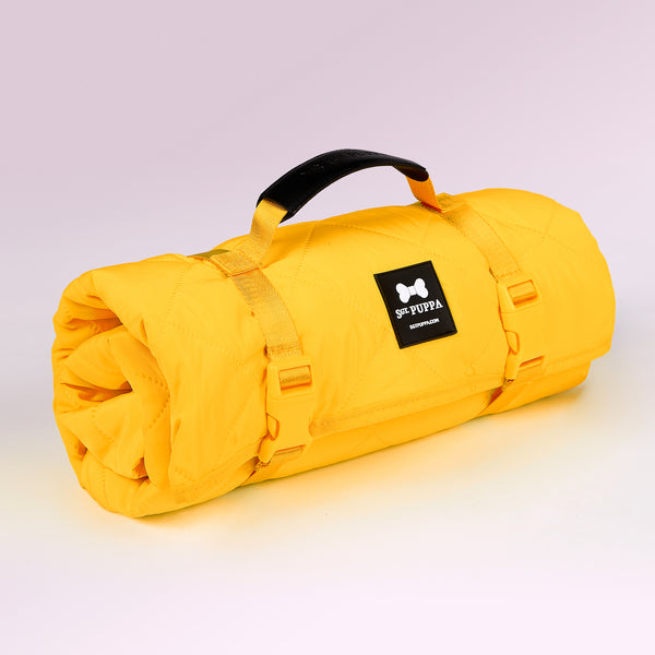 Active Park Blanket