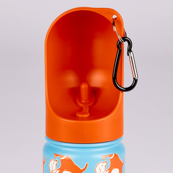 Active 18 Oz Bottle