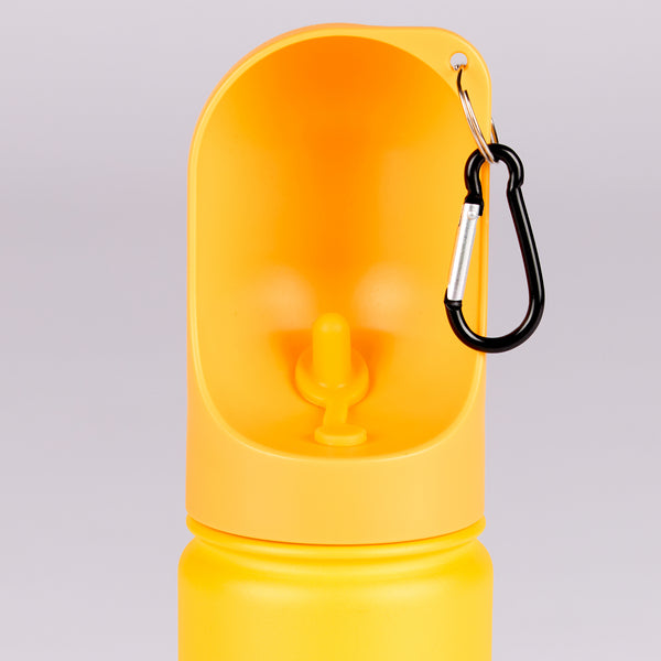 Active 18 Oz Bottle