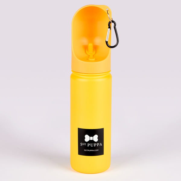 Active 18 Oz Bottle
