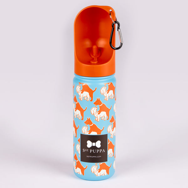 Active 18 Oz Bottle