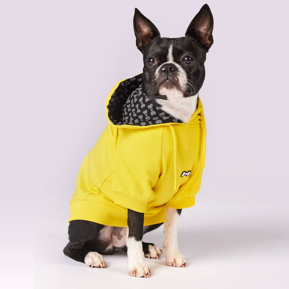 Yellow store dog hoodie