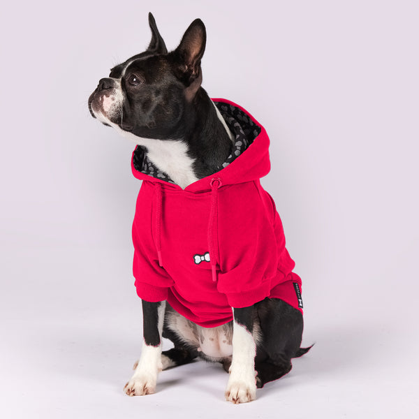 Active Dog Hoodie