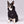Load image into Gallery viewer, Active Dog Hoodie