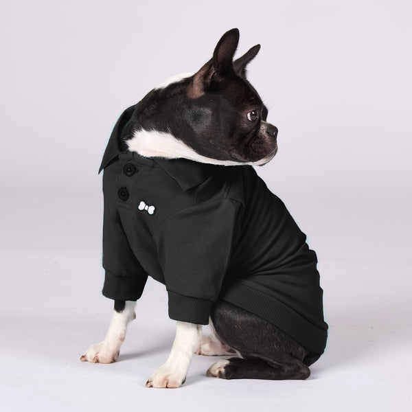 Active Dog Polo Shirt