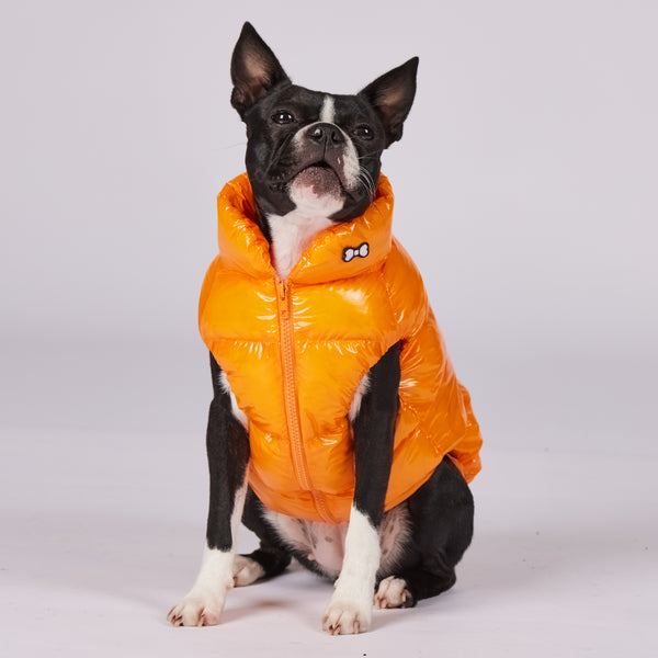 Active Dog Puff Jacket