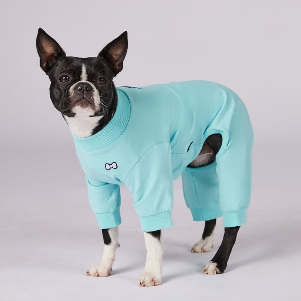 Active Dog Pajamas
