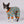 Load image into Gallery viewer, Active Dog Pajamas