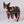 Load image into Gallery viewer, Active Dog Pajamas