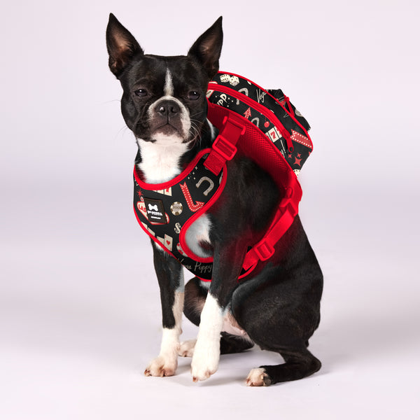 Active Dog Backpack