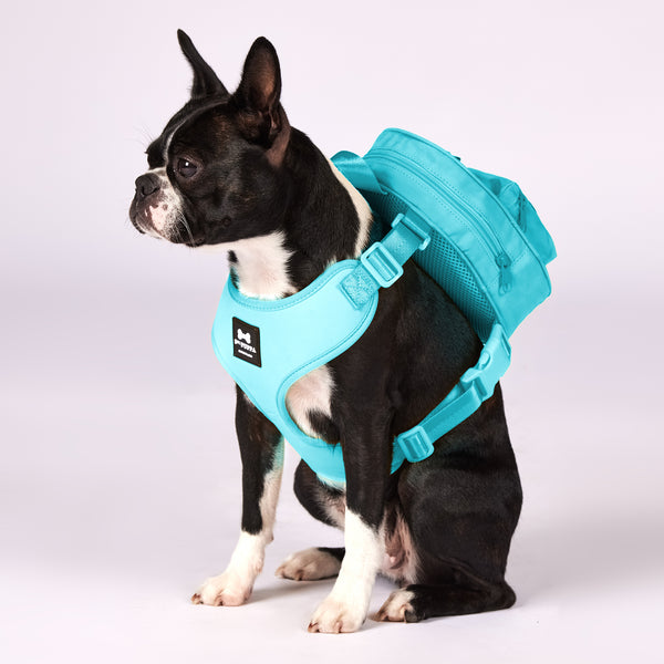 Active Dog Backpack
