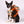 Load image into Gallery viewer, Active Dog Backpack