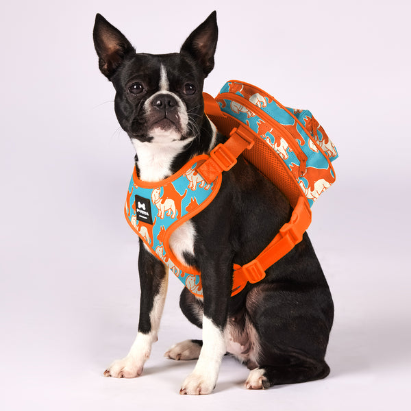 Active Dog Backpack