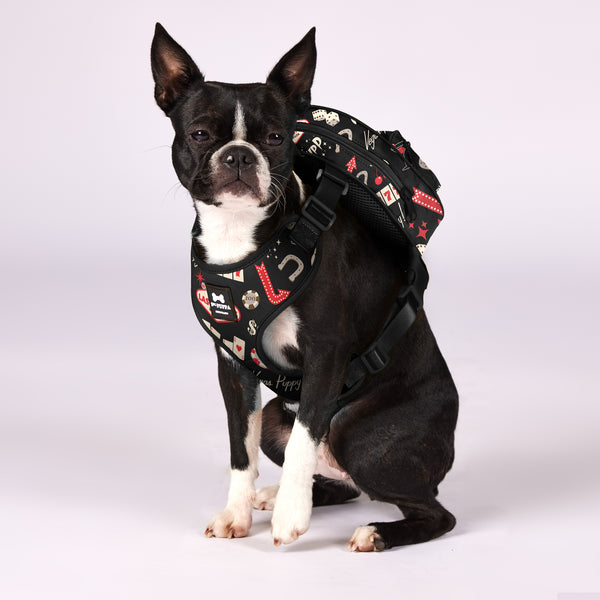 Active Dog Backpack