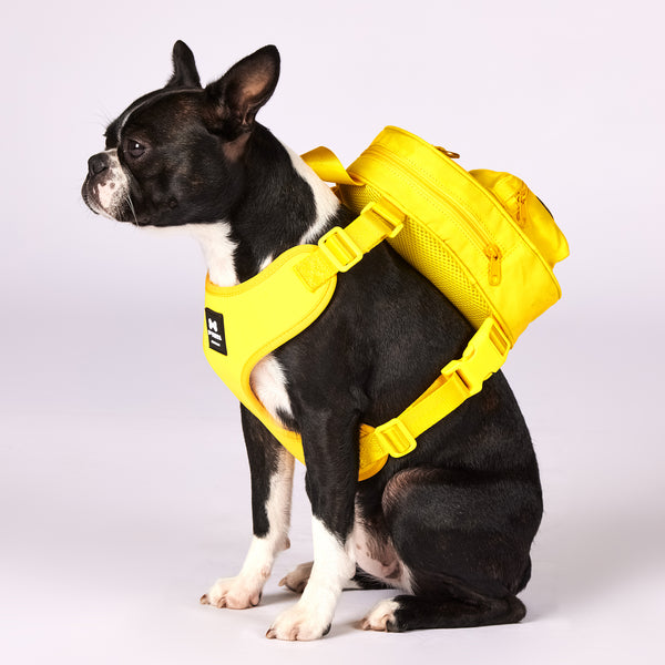 Active Dog Backpack