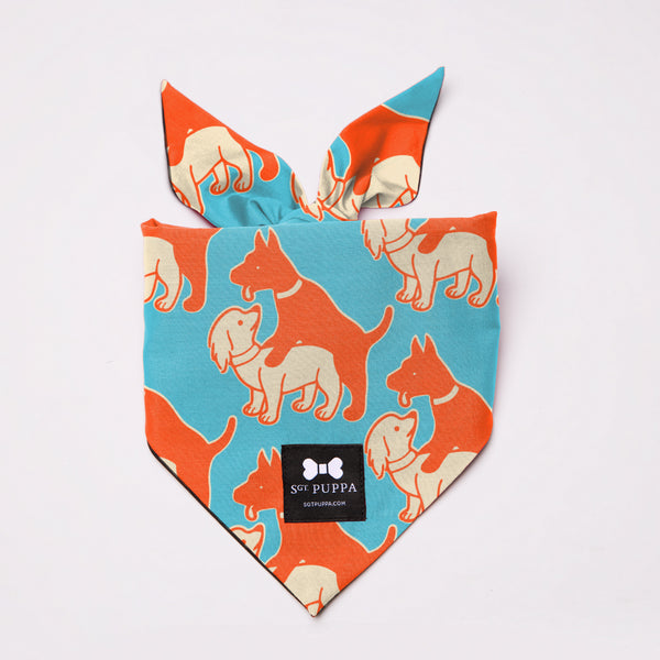 Active Bandana