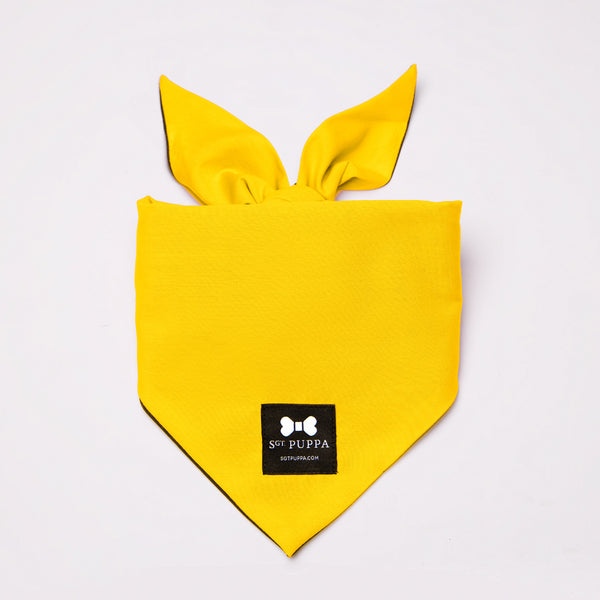 Active Bandana