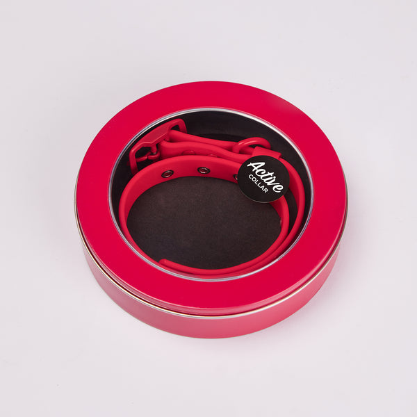 Active Dog Collar