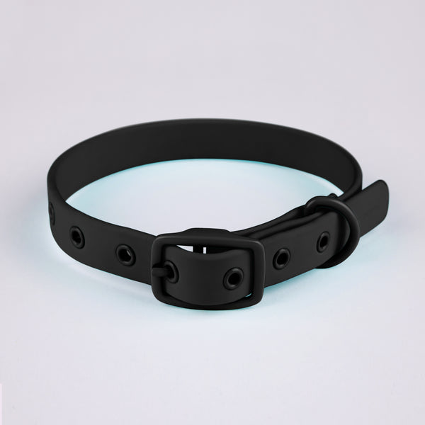 Active Dog Collar
