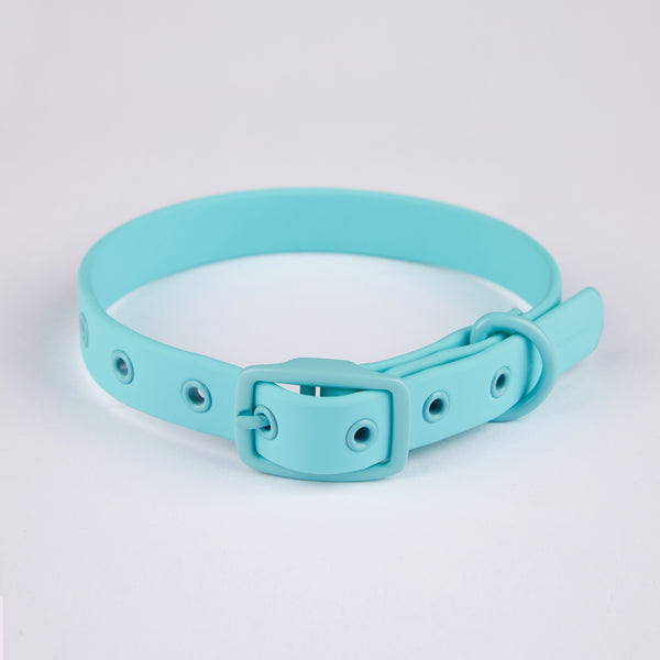 Active Dog Collar