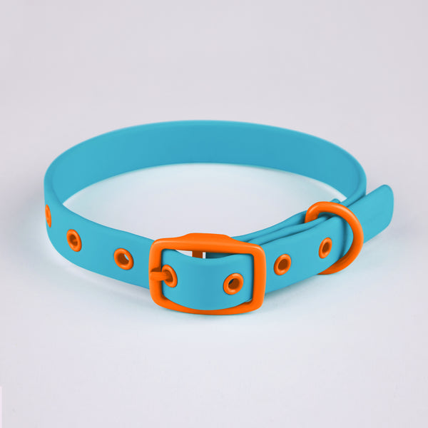 Active Dog Collar