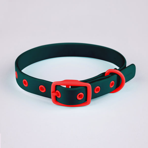 Active Dog Collar