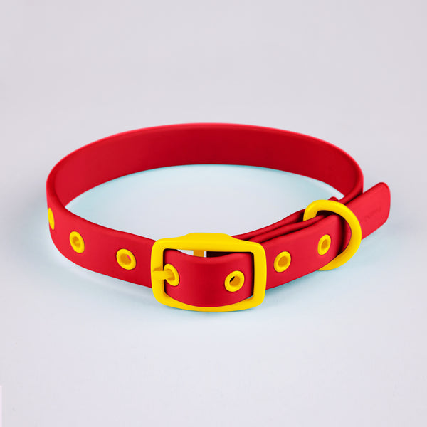 Active Dog Collar