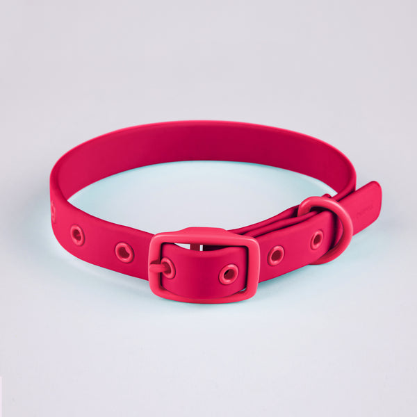 Active Dog Collar