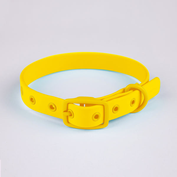 Active Dog Collar