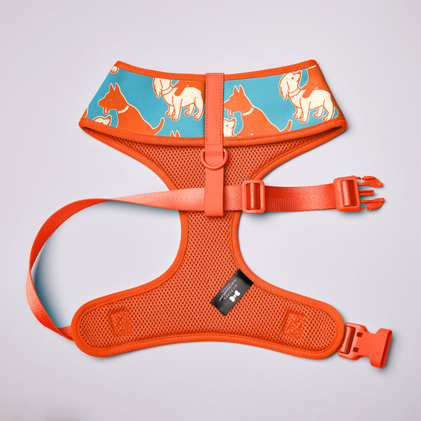 Active Soft Harness
