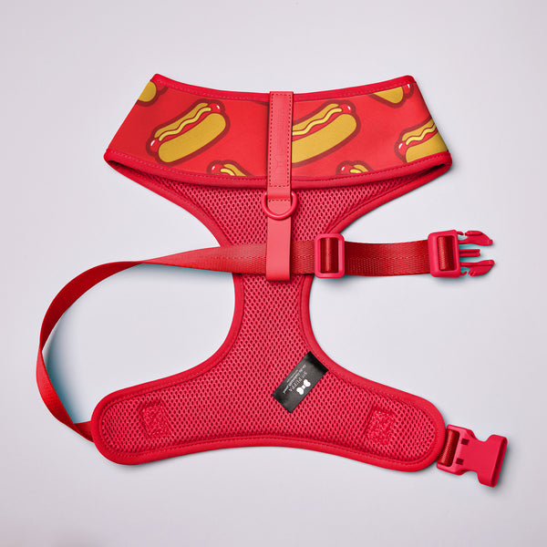 Active Soft Harness