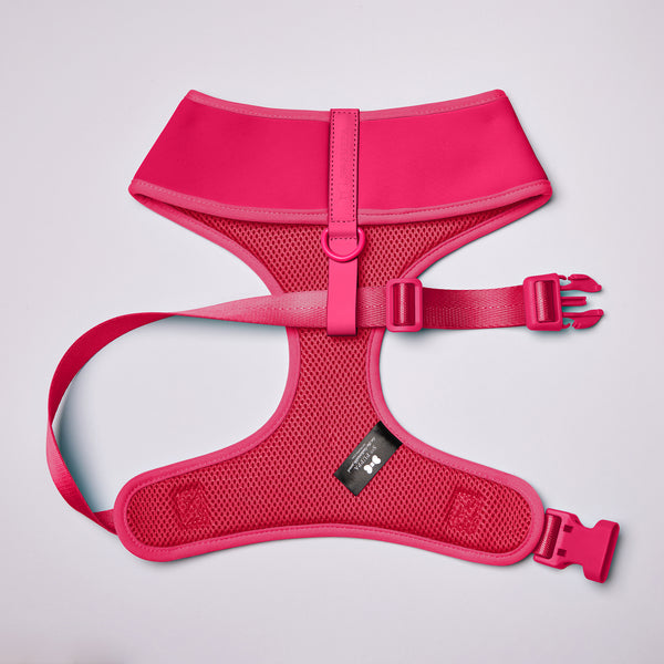 Active Soft Harness