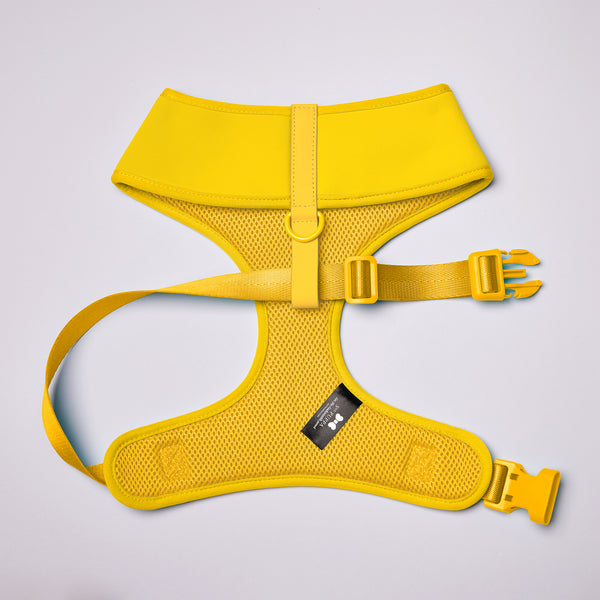 Active Soft Harness
