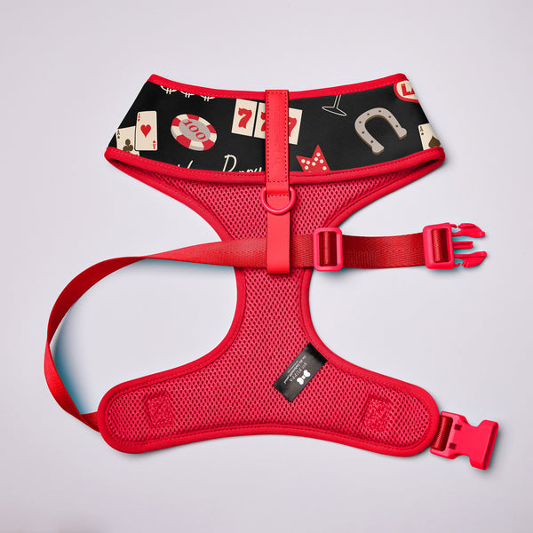 Active Soft Harness