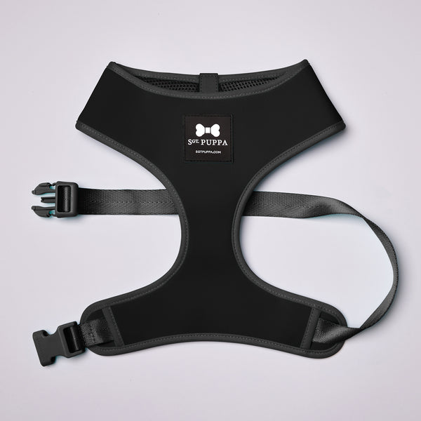 Active Soft Harness