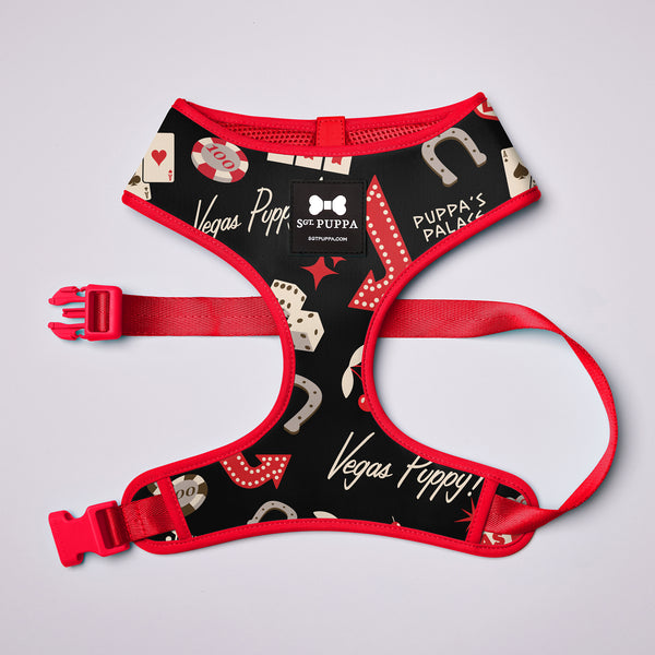Active Soft Harness
