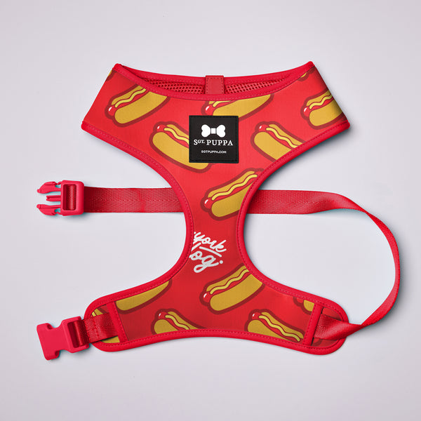 Active Soft Harness