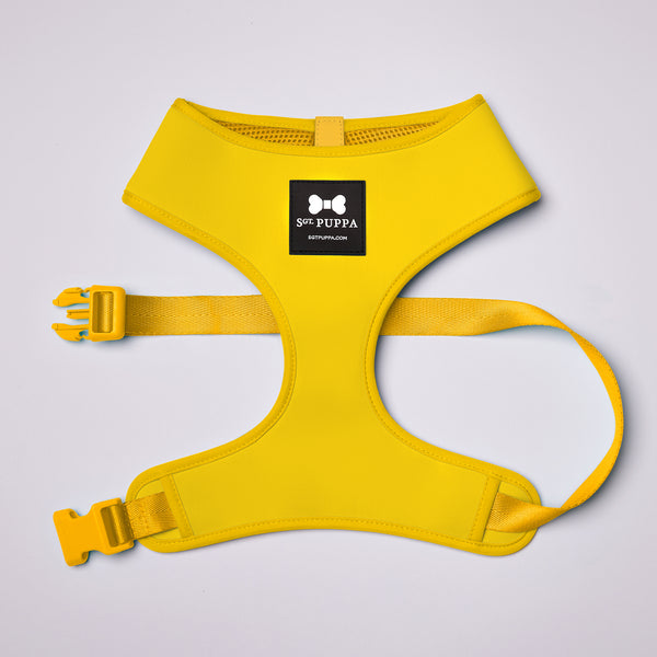 Active Soft Harness