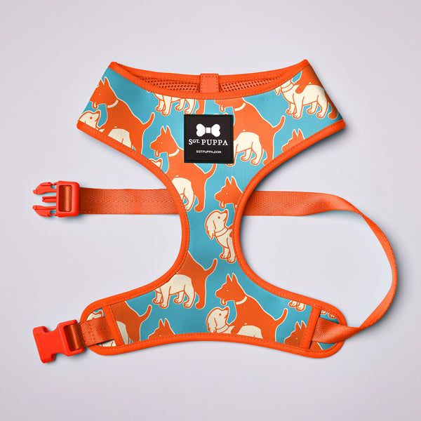 Active Soft Harness