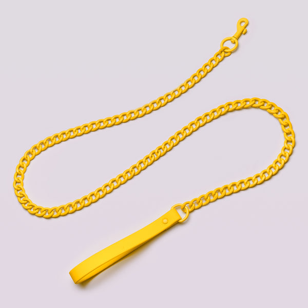 Active Chain Leash