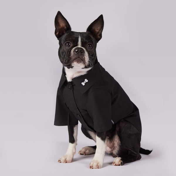 Active Dog Button Shirt