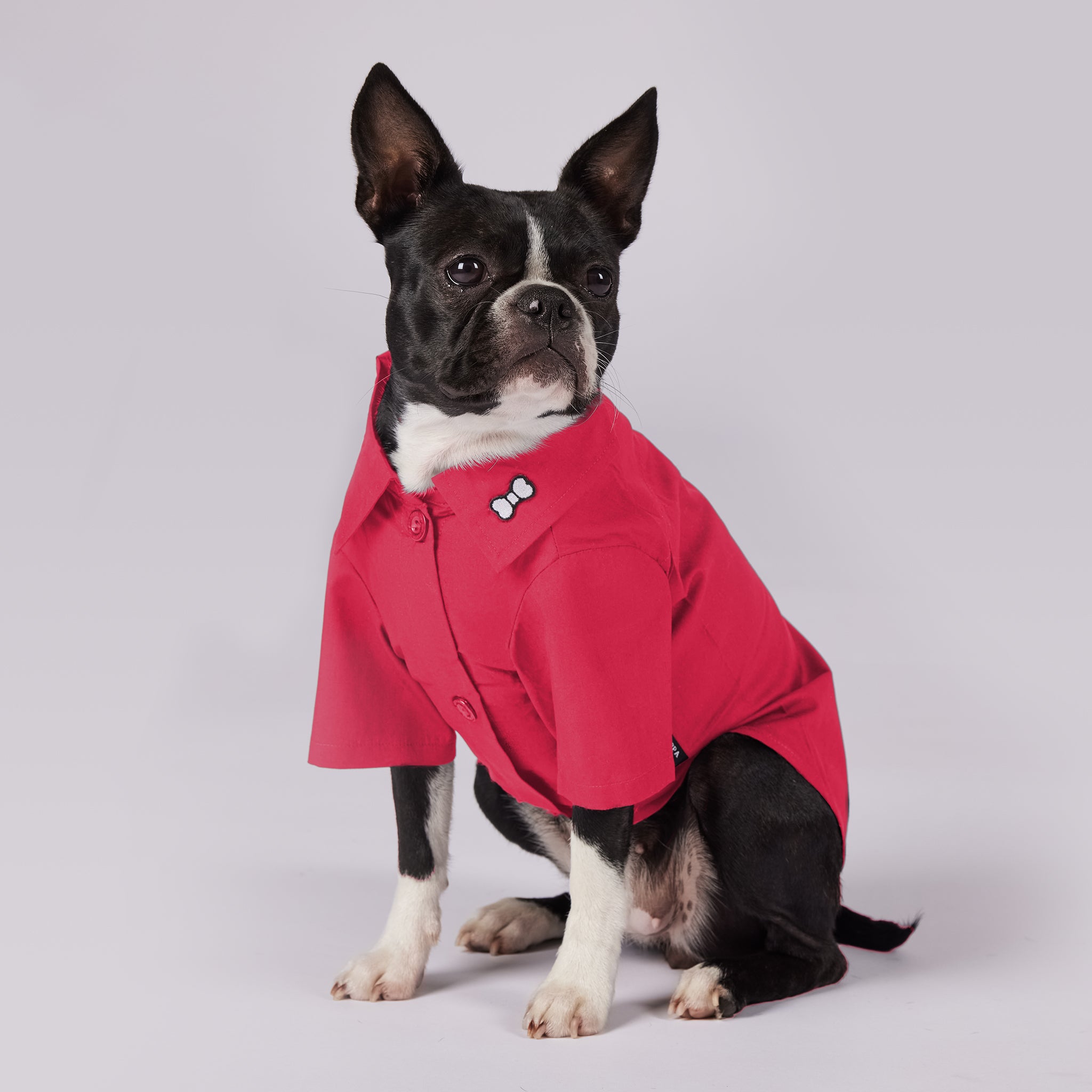 Dog top polo shirt