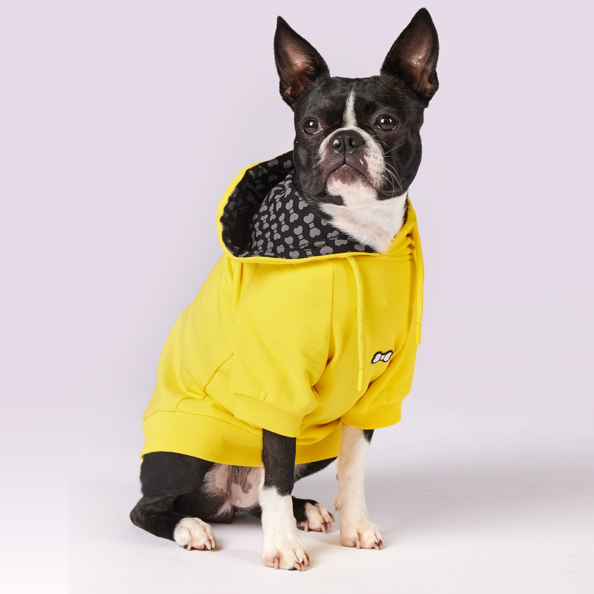 【GRAVER】23SS★ Blue Beanie Dog Perito Sweatshirt Top Paw® Paw Print Dog Hoodie Sweatshirt — Desert Paws Rescue