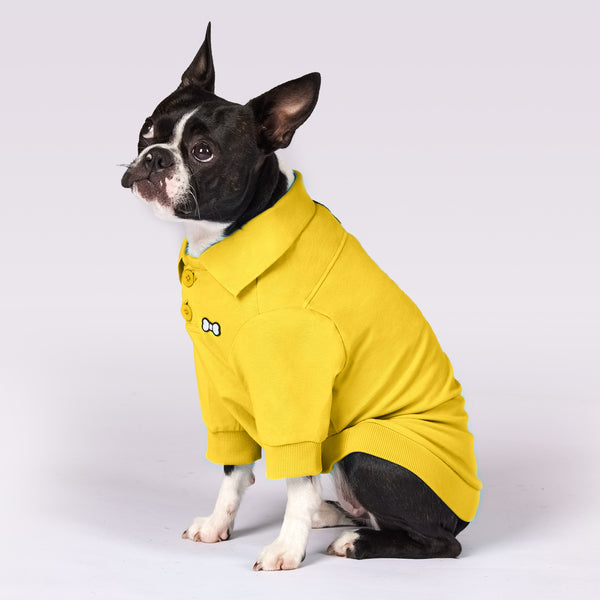 Active Dog Polo Shirt