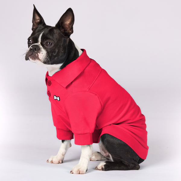 Active Dog Polo Shirt